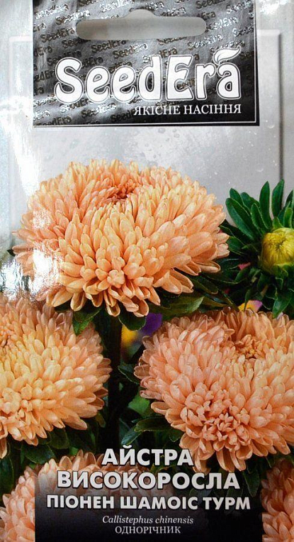 Астра "Пионен Шамоис Турм" ТМ "SeedEra" 0.25г