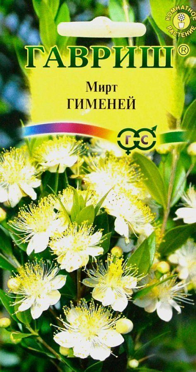 Мирт "Гіменей" ТМ "Гавриш" 5шт