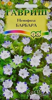 Немофіла "Барбара" ТМ "Гавриш" 0.3г1