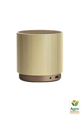 Портативний динамік Lexon Fine Speaker світле золото (LA98D6)