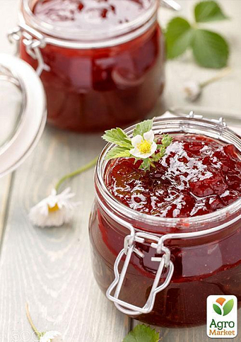 Клубника "Альбион" (Albion) (ремонтантный крупноплодный сорт) - фото 9