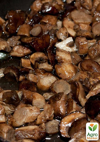 Сухий зерновий міцелій "Підберезовик звичайний" 10г - фото 2