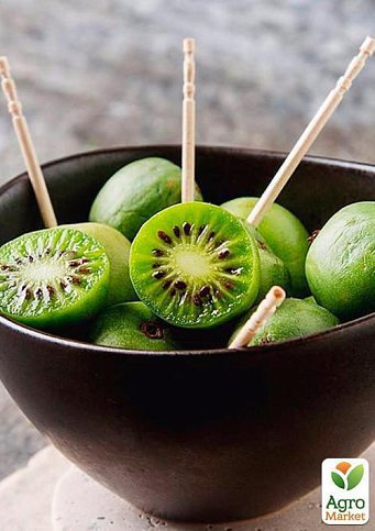 Актинидия "Киевская крупноплодная" (мини-киви, морозостойкий сорт, поздний срок созревания)  - фото 7