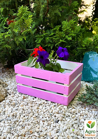 Ящик дерев'яний для зберігання декору та квітів "Бланш" довжина 25см, ширина 17см, висота 13см. (ліловий) - фото 2