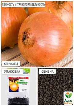 Лук "Луганский" (Зипер) ТМ "Весна" 3г16