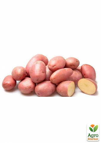 Картопля "Розалінд" насіннєва рання (1 репродукція) 1кг - фото 2