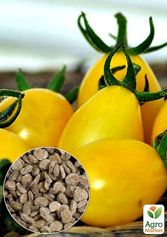 На развес Томат "Де-Барао золотой" ТМ "Весна" цена за 1г