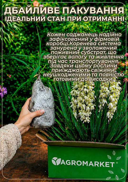 Юкка Сизая - фото 3