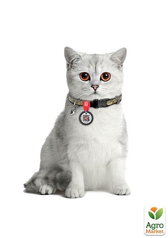 Ошейник для кошек нейлоновый WAUDOG Nylon с QR-паспортом, рисунок "Милитари", пластиковый фастекс, XS, Ш 10 мм, Длина 20-30 см (279-4026) - фото 2