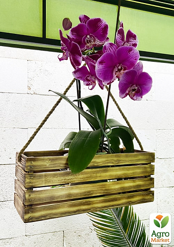 Ящик декоративний дерев'яний для зберігання та квітів "Жиральдо" д. 44см, ш. 17см, ст. 17см. (обпалений з довгою ручкою)