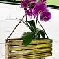 Ящик декоративный деревянный для хранения и цветов "Жиральдо" д. 44см, ш. 17см, в. 17см. (обожжённый с длинной ручкой)