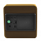 Часы сетевые VST-872-4, зеленые, (корпус коричневый) температура, USB цена