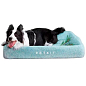 Ліжко PETKIT FOUR SEASON PET BED size S (NEW) (680474) купить