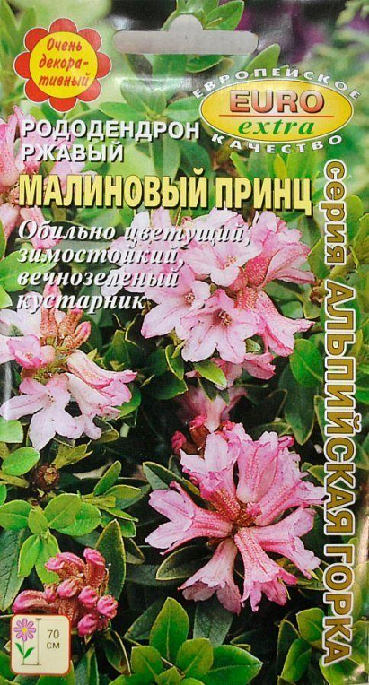 Рододендрон іржавий "Малиновий принц" ТМ "Аеліта" 0.003г