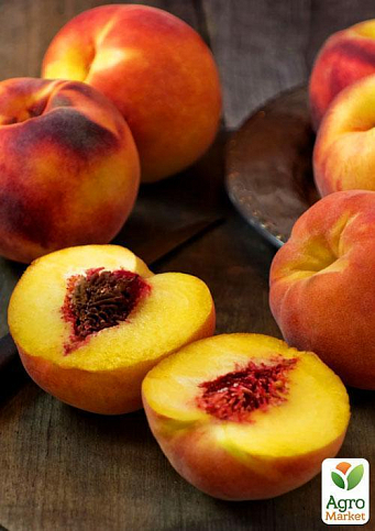 Эксклюзив! Персик колоновидный желтый с темно-красным румянцем "Успешный Джош" (Successful Josh) (премиальный высокоурожайный среднеспелый сорт) - фото 3