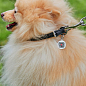 Ошейник для собак кожаный WAUDOG Soft с QR паспортом, круглый, Д 8 мм, Длин 25-33 см черный (22321) купить