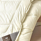 Одеяло Wool Premium шерстяное зимнее 175*210 см пл.400 8-11841*001 цена