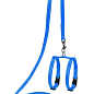 Шлейка "Dog Extremе" из нейлона регулируемый с поводком для морских свинок, декор.крис (ширина 10мм, В:12-22см) голубой (07012)