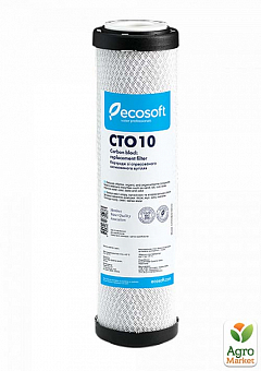 Ecosoft CHVCB2510ECO(CTO)10 картридж2