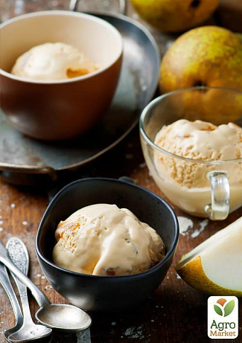 Груша "Дюшес" (зимний сорт, поздний срок созревания) - фото 5