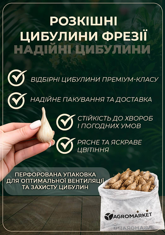 Фрезия "Mix"  - фото 2