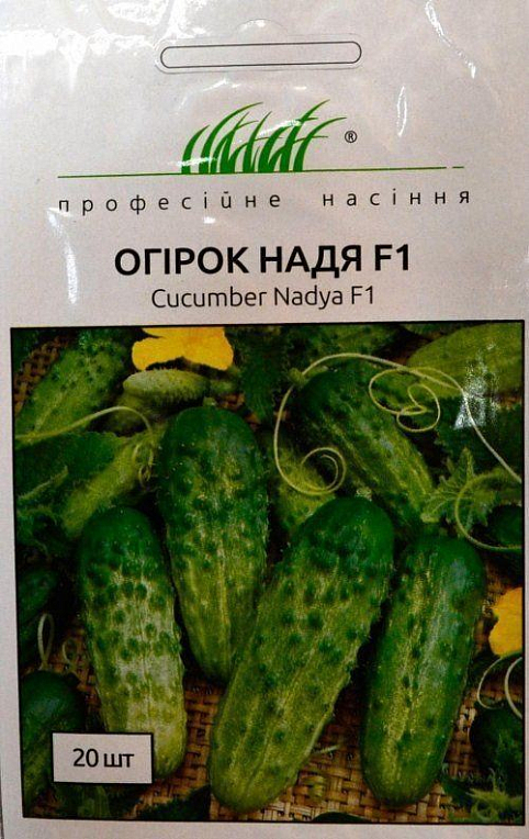 Огірок "Надя F1" ТМ "Hem Zaden" 20шт