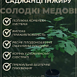 Инжир саженец 3х-летний "Дезерт Кинг" (высота 70-90см)  купить