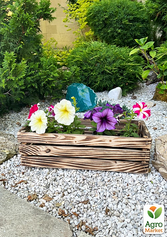 Ящик дерев'яний для зберігання декору та квітів "Франческа" довжина 44см, ширина 17см, висота 13см. (обпалений) - фото 3