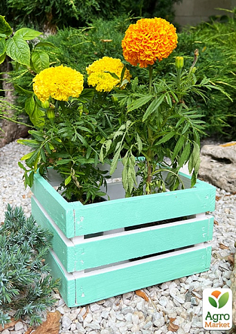 Ящик декоративний дерев'яний для зберігання та квітів "Джусіно" довжина 22см, ширина 20см, висота 13см. (бірюзовий) - фото 2
