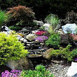 Комплект растений "Рокарий" (Rockery) купить