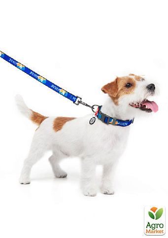 Ошейник для собак нейлоновый с QR паспортом, рисунок "Флаг", пластиковый фастекс, размер XL, Ш 25 мм, Д 37-58 см (4504-0229) - фото 2