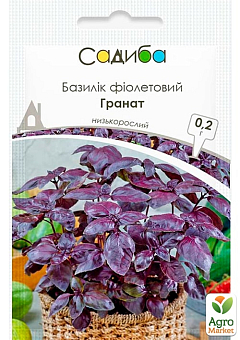 Базилік фіолетовий "Гранат" ТМ "Садиба центр" 0.2г2
