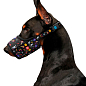 Намордник для собак WAUDOG Nylon, рисунок "NASA", пластиковый фастекс, размер №1, В 14-20 см (5388)  купить