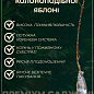 Яблуня колоновидна "КВ-109" (зимовий сорт, пізній термін дозрівання)