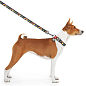 Поводок для собак нейлоновый WAUDOG Nylon, рисунок "Рик и Морти 3", L-XXL, Ш 25 мм, Дл 122 cм (4925-0282) цена