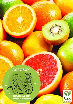 Эксклюзив! AGROBOX с экзотическим саженцем восхитительного вкуса1