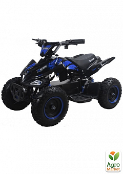 Квадроцикл аккумуляторный FORTE ATV800NE синий 800Вт 36В (119396)1