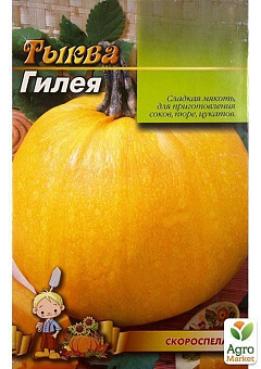 Тыква "Гилея" (Большой пакет) ТМ "Весна" 8г19