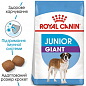 Royal Canin Giant Junior   Сухой корм для щенков в возрасте от 8 до 18/24 месяцев 15 кг (7070770)
