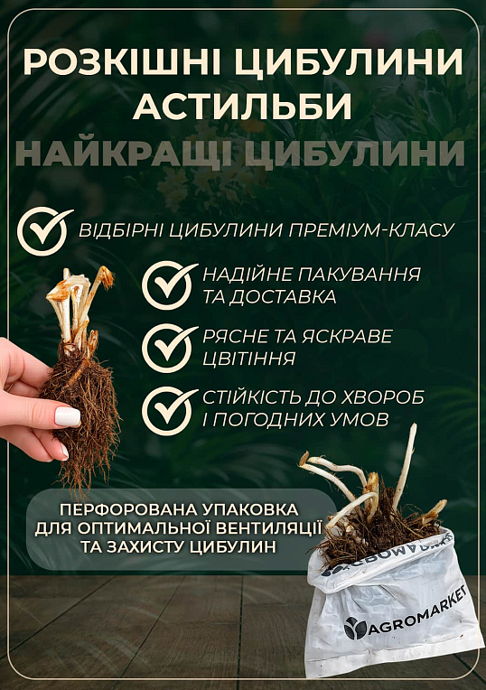 Астильба "Fanal"  - фото 4