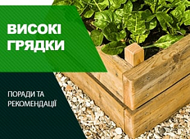 Чим обробити дерев'яні дошки для грядок - корисні статті про садівництво від Agro-Market