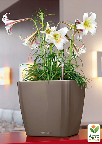 Розумний вазон з автополивом Lechuzа Quadro Premium LS 35, сіро-коричневий (16165) - фото 5
