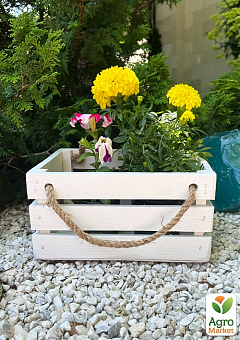 Ящик дерев'яний для зберігання декору та квітів "Бланш" довжина 25см, ширина 17см, висота 13см. (білий з великими ручками)2