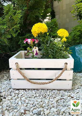 Ящик дерев'яний для зберігання декору та квітів "Бланш" довжина 25см, ширина 17см, висота 13см. (білий з великими ручками)