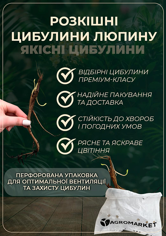 Люпин "Chatelaine" - фото 3