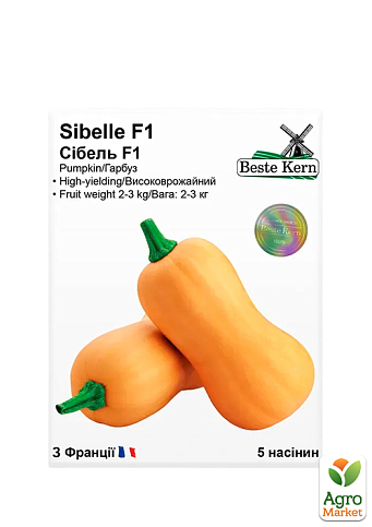 Гарбуз "Сібель" 2-3кг ТМ "Beste Kern" 5шт