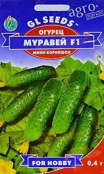 Огірок "Муравей F1" ТМ "GL SEEDS" 0.4г2