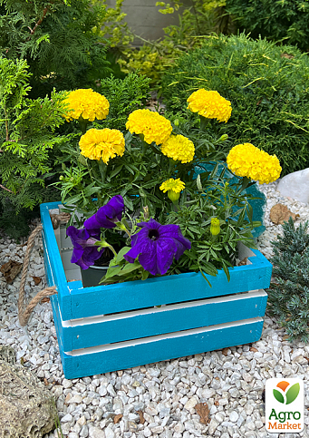 Ящик дерев'яний для зберігання декору та квітів "Прованс" довжина 25см, ширина 27см, висота 13см. (синій з ручками)