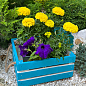 Ящик дерев'яний для зберігання декору та квітів "Прованс" довжина 25см, ширина 27см, висота 13см. (синій з ручками)