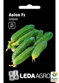 Огурец "Авион F1" ТМ "Leda Agro" 10шт2